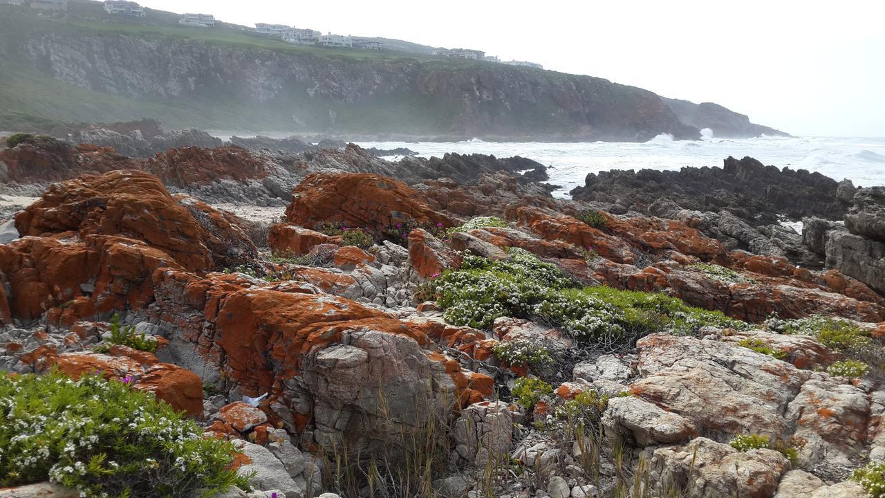 Pinnacle Point - Golf Safari Sa * Mossel Bay